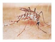 1677723879144201.jpg 3.jpg